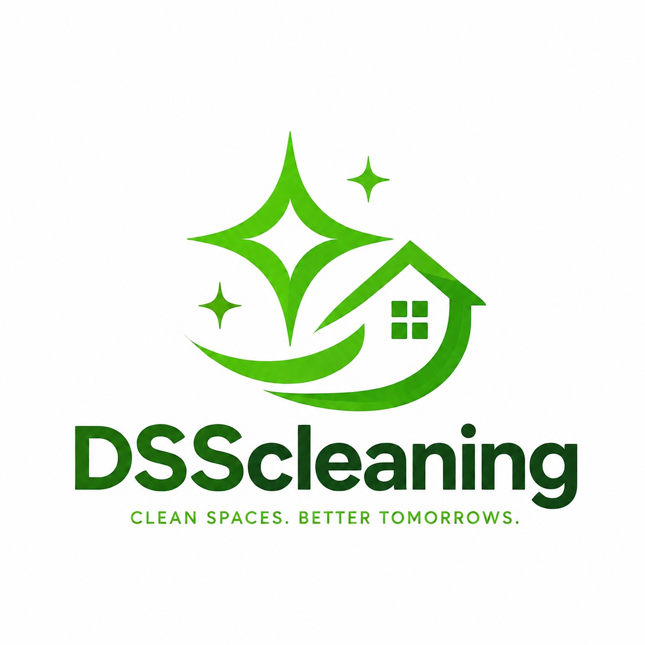 DSScleaning logo